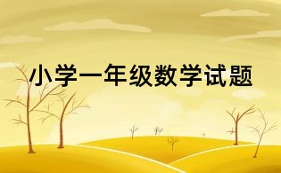 小学一年级数学试题