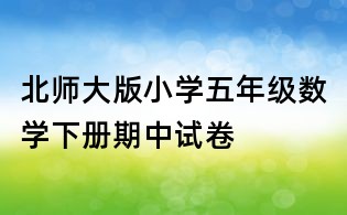 北师大版小学五年级数学下册期中试卷