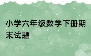小学六年级数学下册期末试题