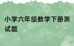 小学六年级数学下册测试题