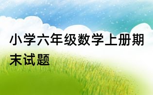 小学六年级数学上册期末试题
