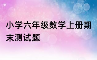 小学六年级数学上册期末测试题
