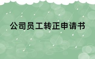 公司员工转正申请书