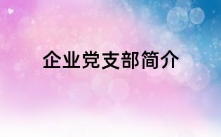 企业党支部简介