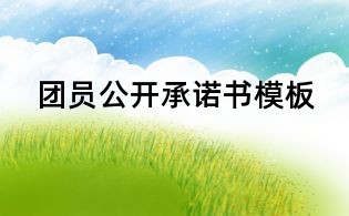 团员公开承诺书模板