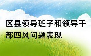 区县领导班子和领导干部四风问题表现