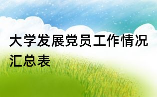 大学发展党员工作情况汇总表