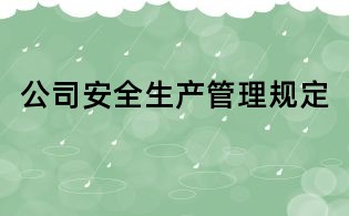 公司安全生产管理规定