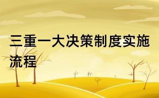 三重一大决策制度实施流程