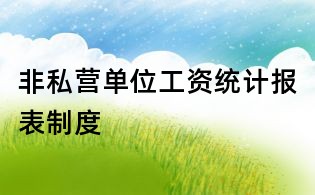 非私营单位工资统计报表制度