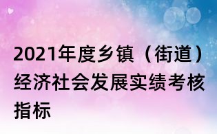 2021年度乡镇(街道)经济社会发展实绩考核指标