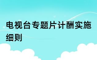 电视台专题片计酬实施细则