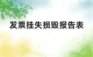 发票挂失损毁报告表