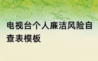 电视台个人廉洁风险自查表模板