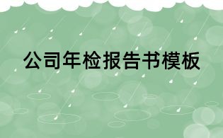 公司年检报告书模板