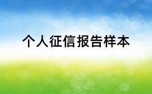 个人征信报告样本