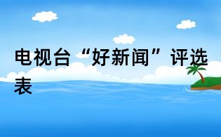 电视台“好新闻”评选表