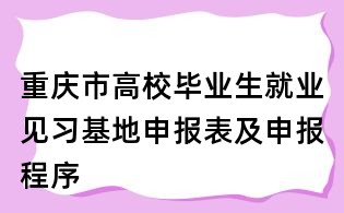 重庆市高校毕业生就业见习基地申报表及申报程序