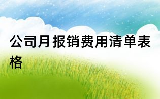 公司月报销费用清单表格