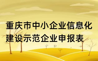 重庆市中小企业信息化建设示范企业申报表