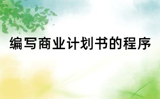 编写商业计划书的程序