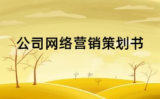 公司网络营销策划书