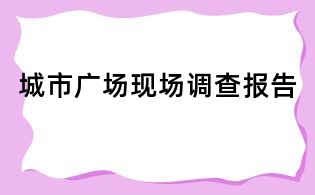 城市广场现场调查报告