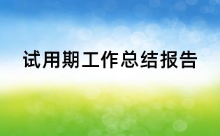 试用期工作总结报告