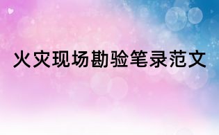 火灾现场勘验笔录范文
