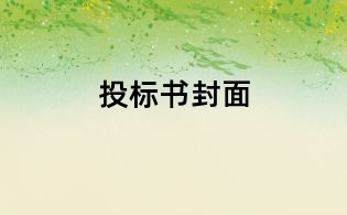 投标书封面