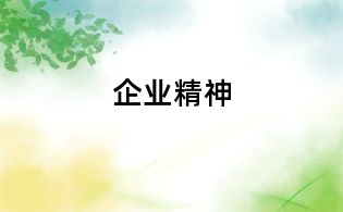 企业精神