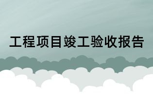 工程项目竣工验收报告