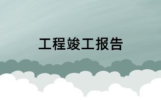 工程竣工报告