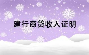建行商贷收入证明