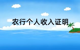 农行个人收入证明
