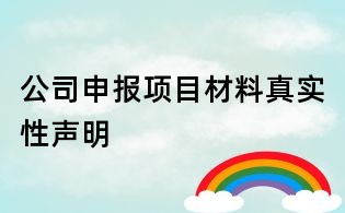 公司申报项目材料真实性声明