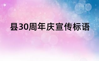 县30周年庆宣传标语