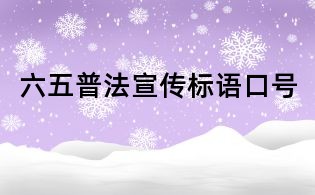 六五普法宣传标语口号