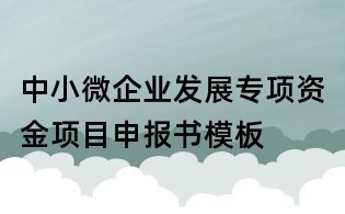 中小微企业发展专项资金项目申报书模板