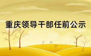 重庆领导干部任前公示