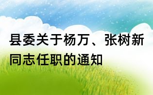 县委关于杨万、张树新同志任职的通知