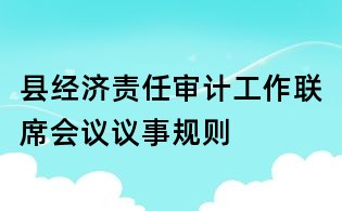 县经济责任审计工作联席会议议事规则