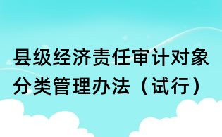 县级经济责任审计对象分类管理办法(试行)