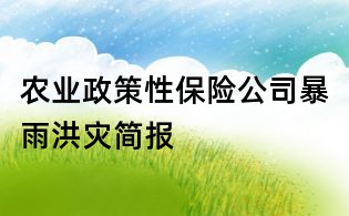 农业政策性保险公司暴雨洪灾简报