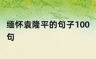 缅怀袁隆平的句子100句