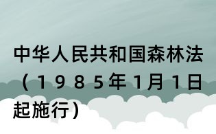 中华人民共和国森林法（１９８５年１月１日起施行）