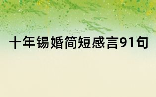十年锡婚简短感言91句