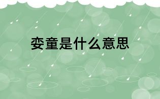娈童是什么意思