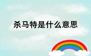 杀马特是什么意思