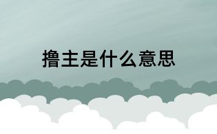 撸主是什么意思
